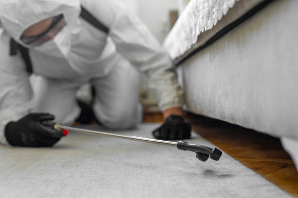 Professional Ant Control technician working in Marlborough, MA
