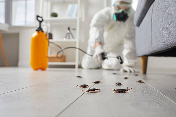 Trusted Cockroach Control service in Marlborough, MA - Nex Pest Control