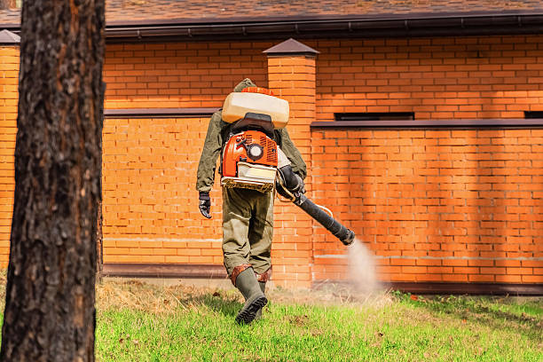 Trusted Termite Control service in Marlborough, MA - Nex Pest Control